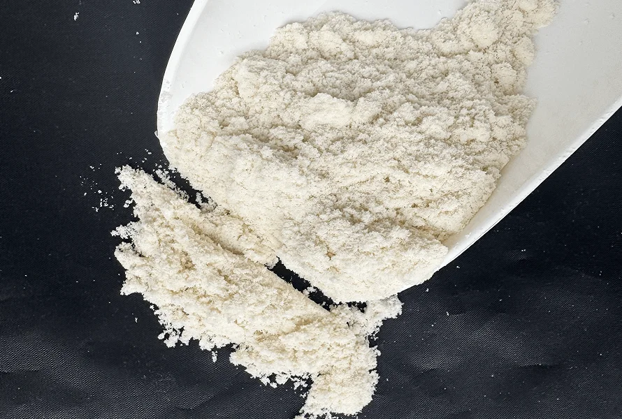 Whey Protein Concentrate 80 Regular (WPC 80) - Image 2